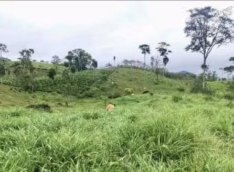 Venta finca Cartago Turrialba GANGA 6  y 1/2 HECT X 50 MILL COL