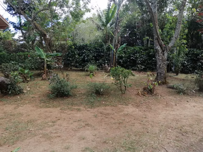 Venta de propiedad 2 hectareas/ Poas / Alajuela