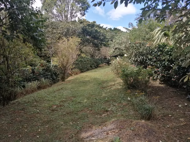 Venta de propiedad 2 hectareas/ Poas / Alajuela