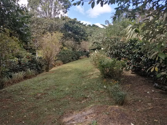 Venta de propiedad 2 hectareas/ Poas / Alajuela