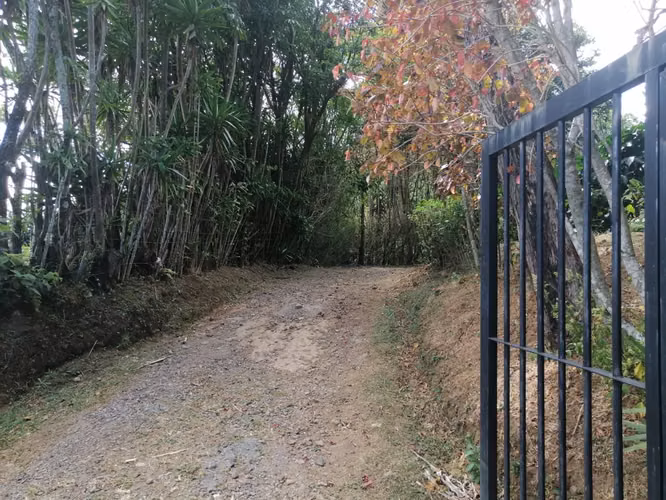 Venta de propiedad 2 hectareas/ Poas / Alajuela
