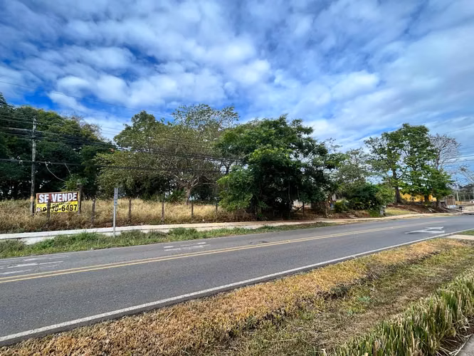 Venta de terreno en San Rafael, Esparza, Puntarenas. - Imagen 8