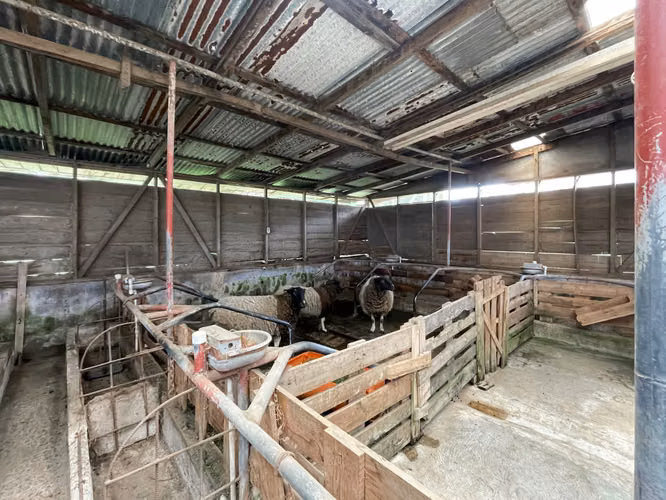 Se vende propiedad con vista en La Angelina, Cartago (AD). - Imagen 18