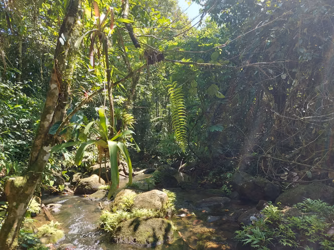 Venta de lote con casa en La Virgen de Sarapiquí