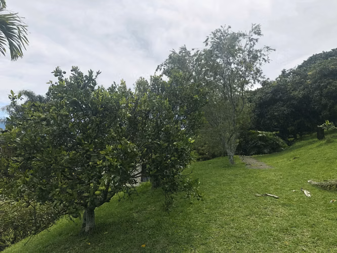 Venta de lote  en Colinas de Montealegre - Imagen 3