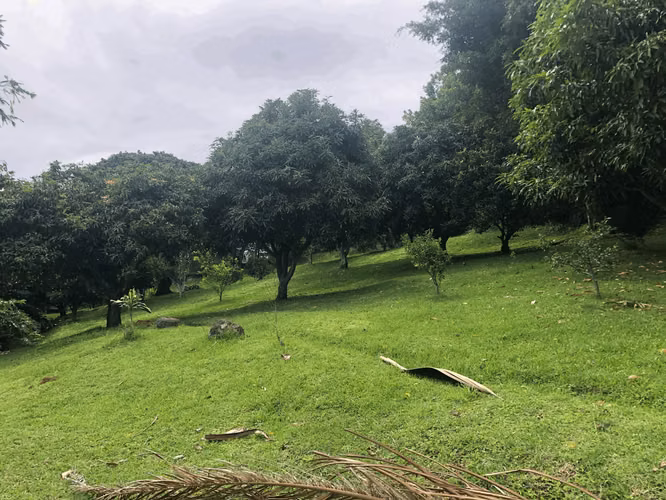 Venta de lote  en Colinas de Montealegre - Imagen 6