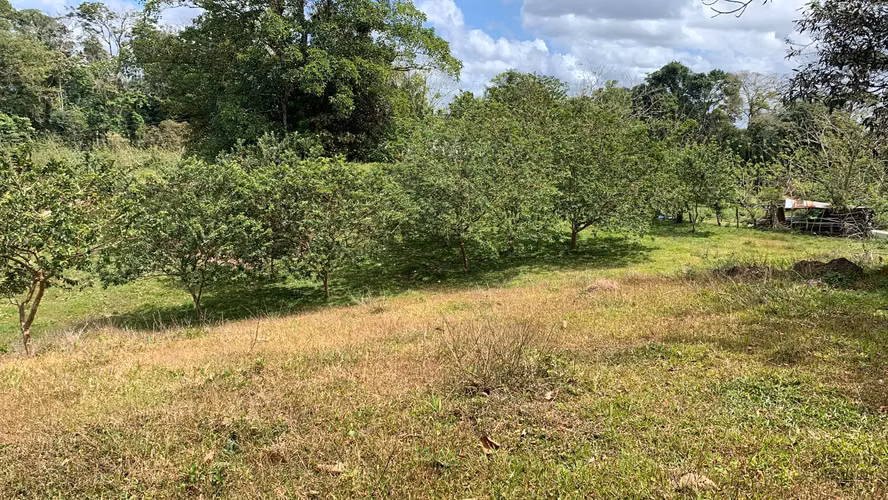 Se vende propiedad, San Pablo, Ciudad Quesada