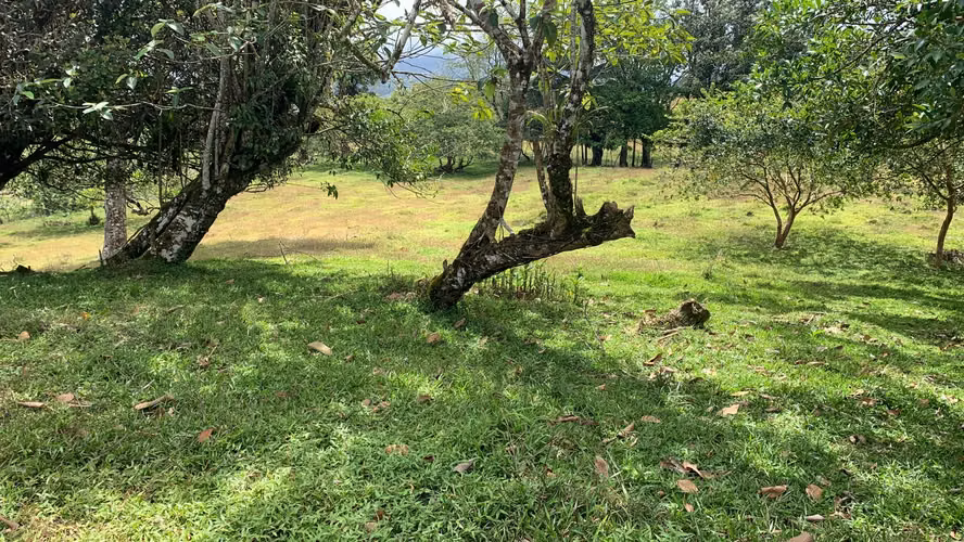 Se vende propiedad, San Pablo, Ciudad Quesada