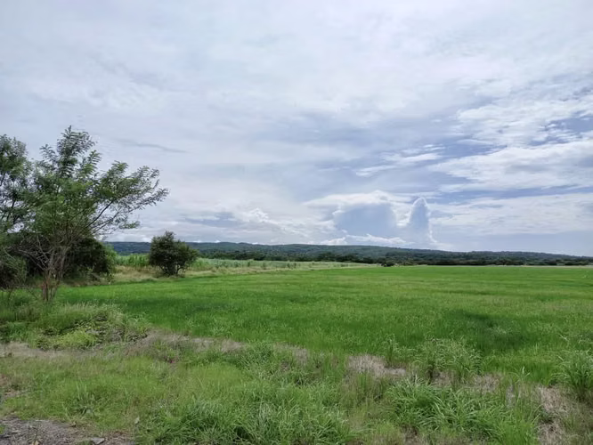 Venta finca Guanacaste Bagaces  GANGA 56 mill colones - Imagen 8