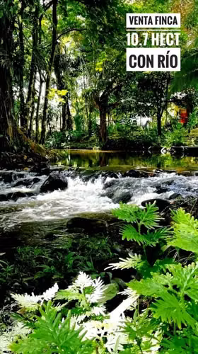 Vendo finca en Horquetas de Sarapiquí