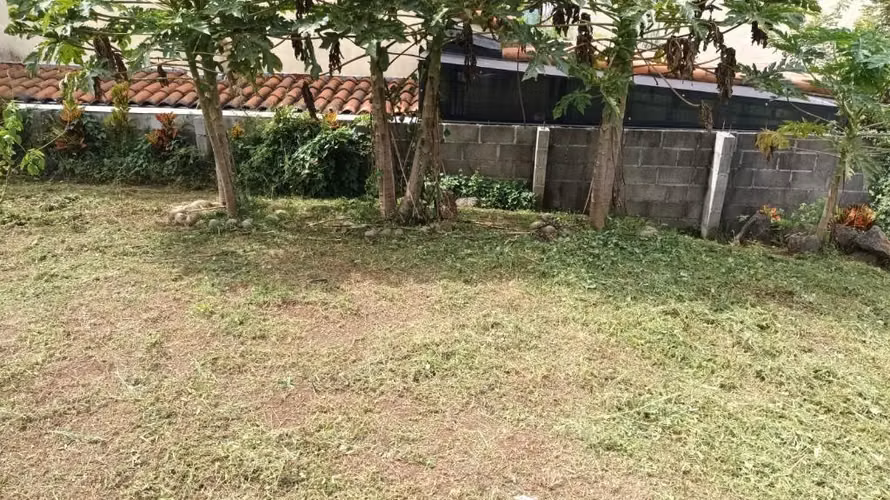 Oportunidad  Lomas del Castillo - Imagen 6