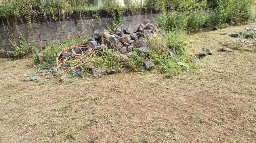 Oportunidad  Lomas del Castillo - Imagen 3