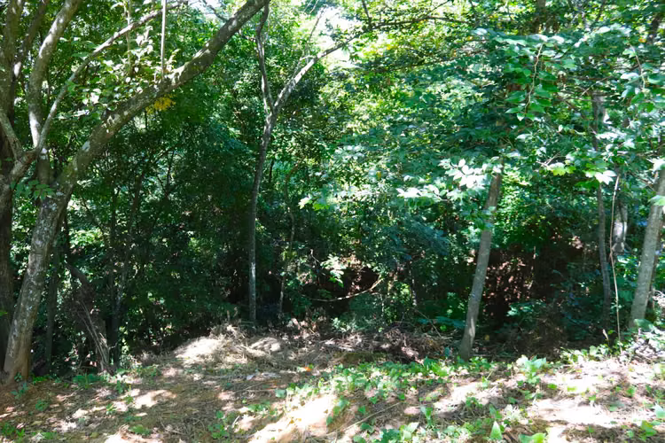 Se Vende Lote, Balsa de Atenas 1269m2