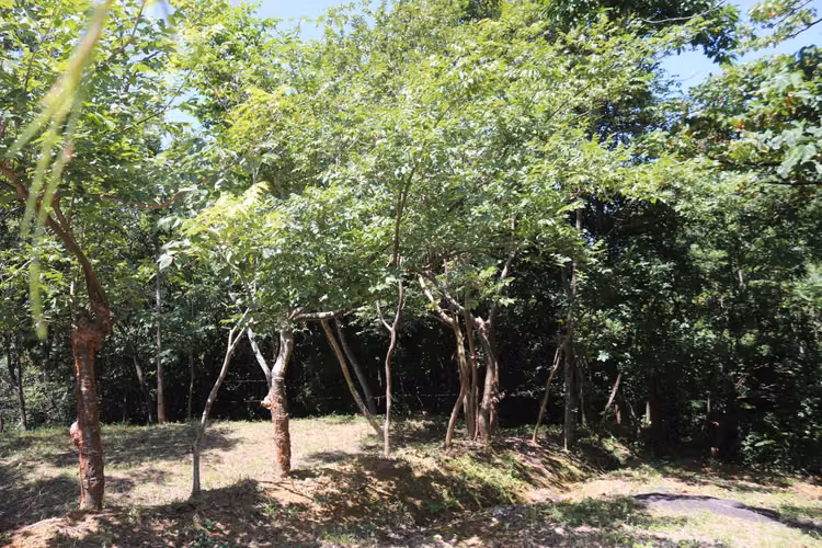 Se Vende Lote, Balsa de Atenas 1269m2