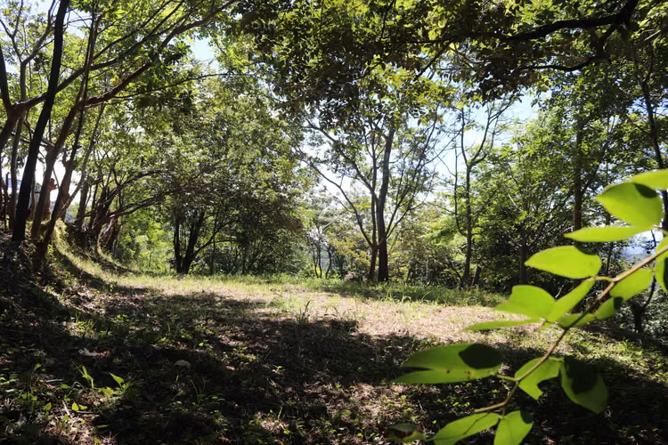 Se Vende Lote, Balsa de Atenas 1269m2