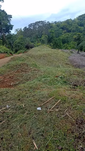 Lote en venta en Puerto Cortés, Osa, Puntarenas, vistas al océano