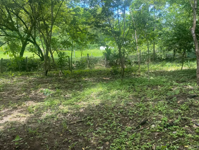 REDUCIDO! Lote en venta a 10 minutos de Playa Samara