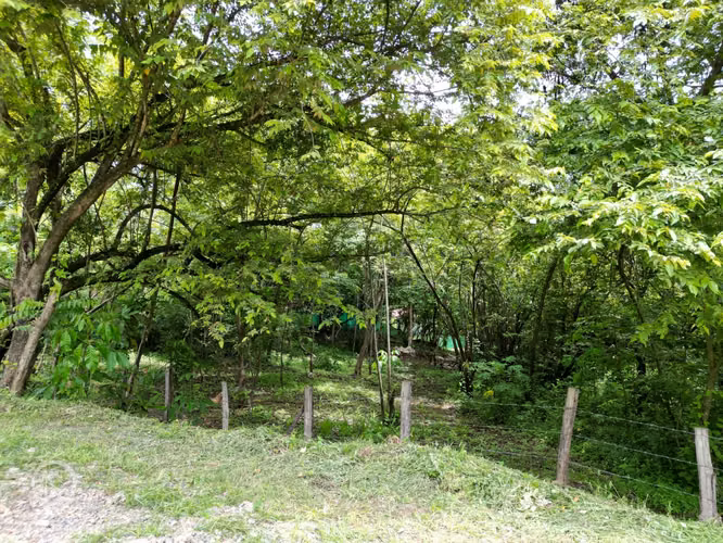 REDUCIDO! Lote en venta a 10 minutos de Playa Samara