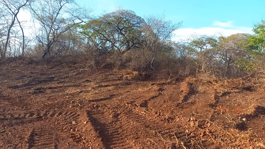 Lotes de 1500 m2 a 1.5 km de Playa Grande, Guanacaste, Costa Rica - Imagen 2