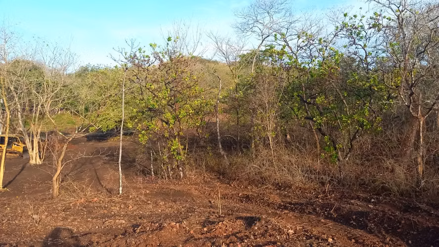 Lotes de 1500 m2 a 1.5 km de Playa Grande, Guanacaste, Costa Rica - Imagen 20