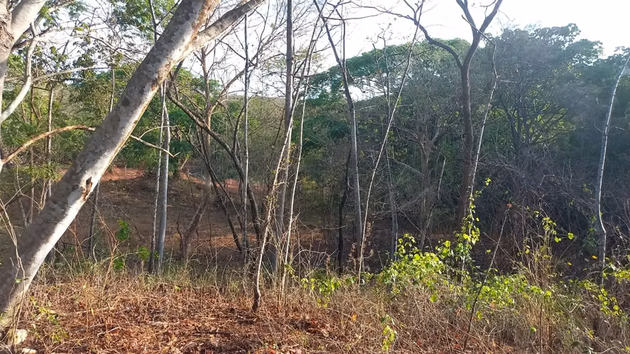 Lotes de 1500 m2 a 1.5 km de Playa Grande, Guanacaste, Costa Rica - Imagen 19