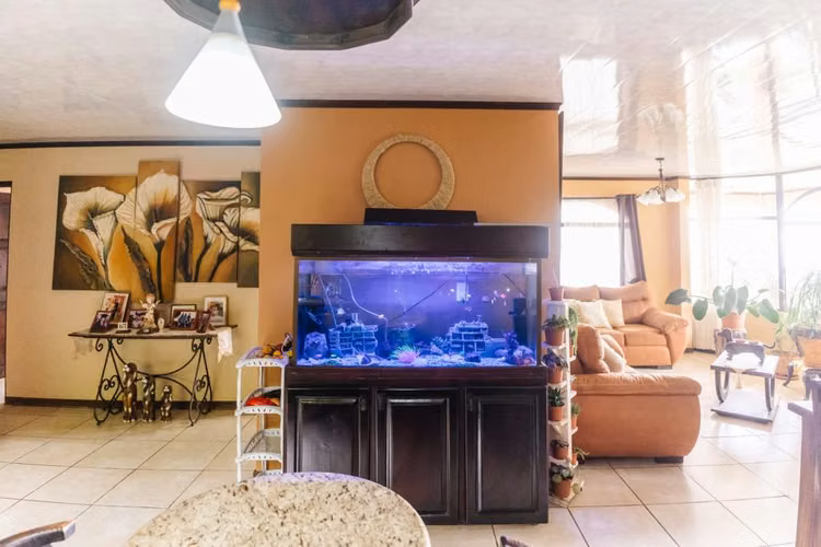 Casa en venta en Naranjo, con jacuzzi, increíbles vistas, zona tranquila y clima fresco - Imagen 18