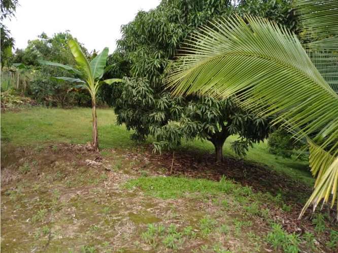 Venta de terreno en Dulce Nombre de Naranjo, Alajuela. - Imagen 7