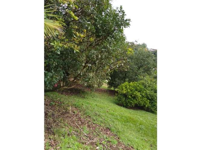 Venta de terreno en Dulce Nombre de Naranjo, Alajuela. - Imagen 9