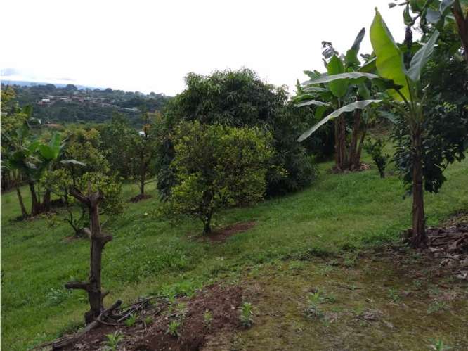 Venta de terreno en Dulce Nombre de Naranjo, Alajuela. - Imagen 5