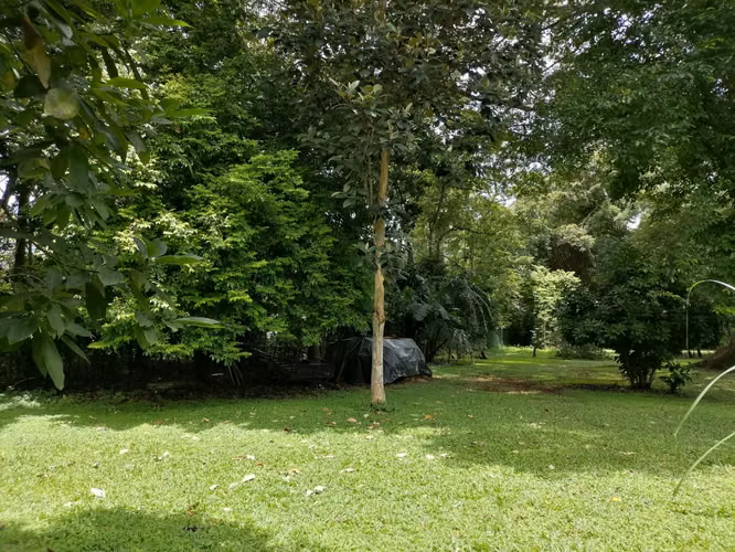 Se Vende Lote en San Pedro de Turrubares, San José - Imagen 4