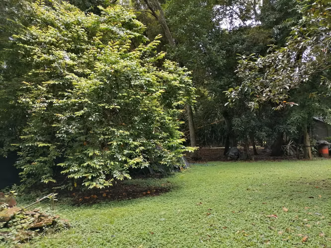 Se Vende Lote en San Pedro de Turrubares, San José - Imagen 2