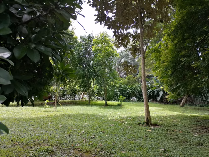 Se Vende Lote en San Pedro de Turrubares, San José - Imagen 8
