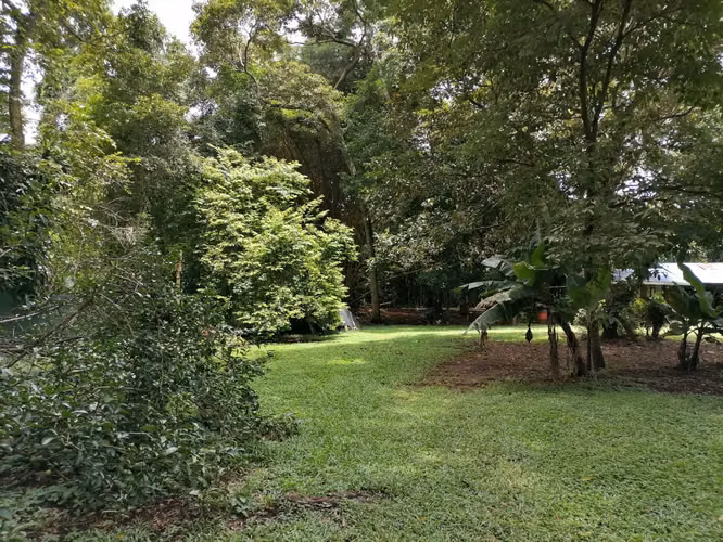Se Vende Lote en San Pedro de Turrubares, San José - Imagen 7