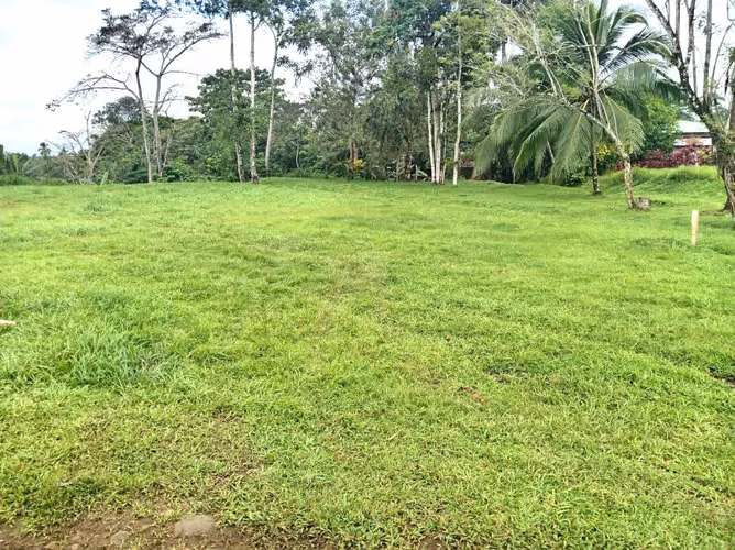 For sale lots  San Carlos Florencia owner finan disc prices