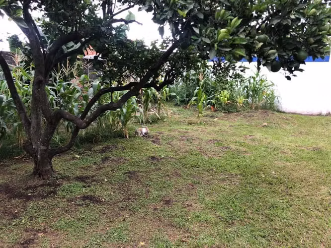 Vendo Lote en Escazú