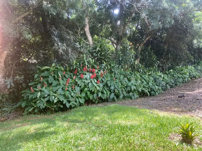 Se vende propiedad, San Miguel de Naranjo