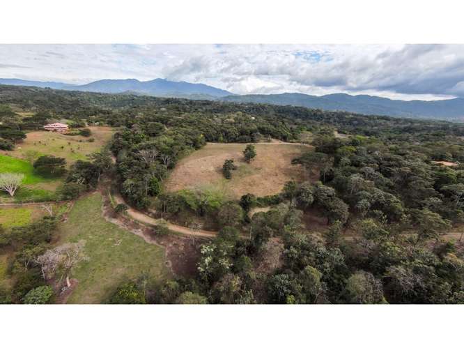 VENTA DE QUINTA, PUNTARENAS, GARABITO, TÁRCOLES - Imagen 14