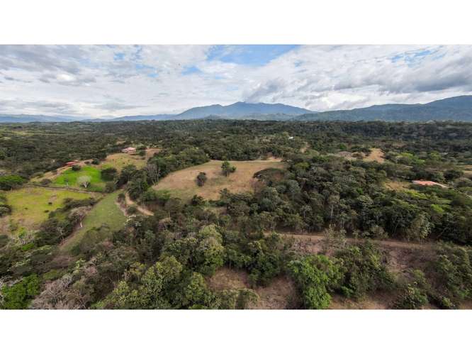 VENTA DE QUINTA, PUNTARENAS, GARABITO, TÁRCOLES - Imagen 9