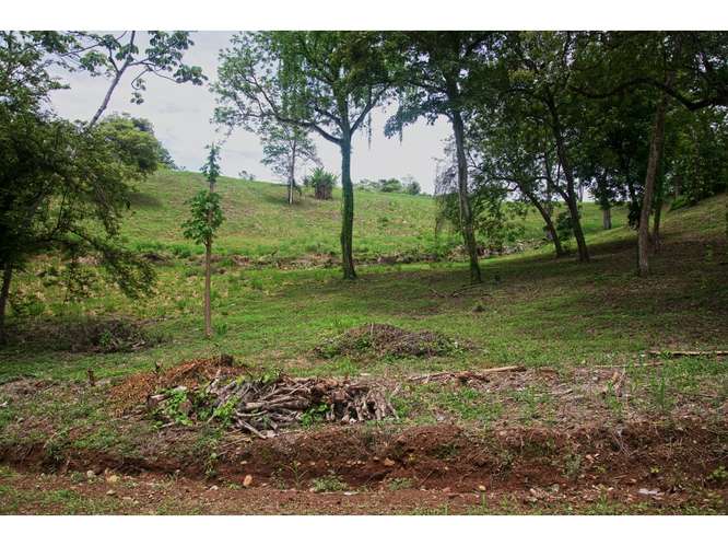 VENTA DE QUINTA, PUNTARENAS, GARABITO, TÁRCOLES - Imagen 6