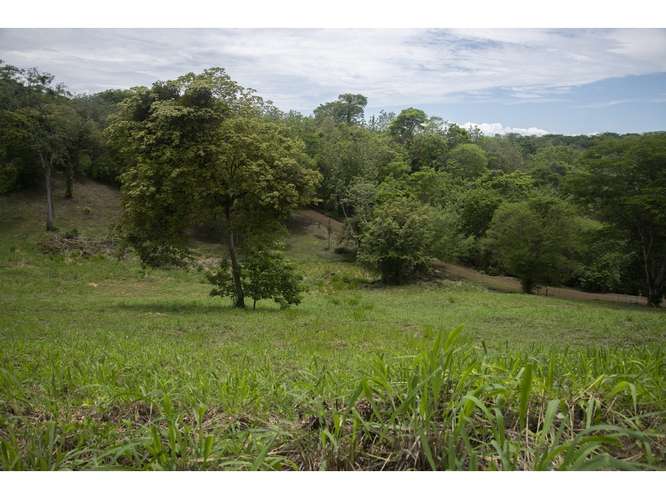 VENTA DE QUINTA, PUNTARENAS, GARABITO, TÁRCOLES - Imagen 20