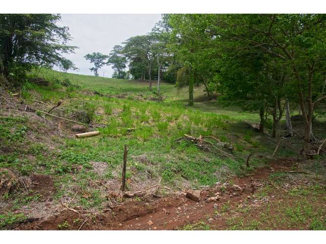 VENTA DE QUINTA, PUNTARENAS, GARABITO, TÁRCOLES - Imagen 7