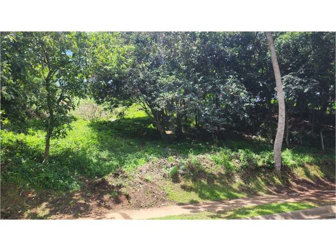 Lote en venta en Granadilla de Curridabat - Imagen 4