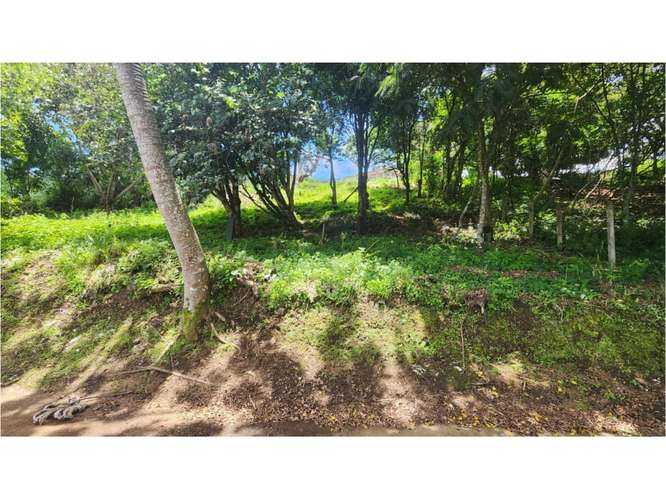 Lote en venta en Granadilla de Curridabat - Imagen 2