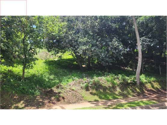 Lote en venta en Granadilla de Curridabat - Imagen 16
