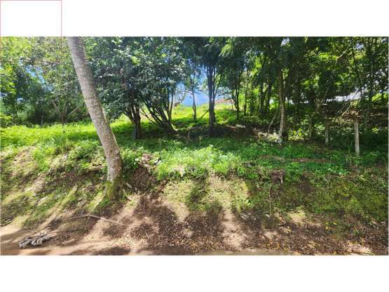 Lote en venta en Granadilla de Curridabat - Imagen 8