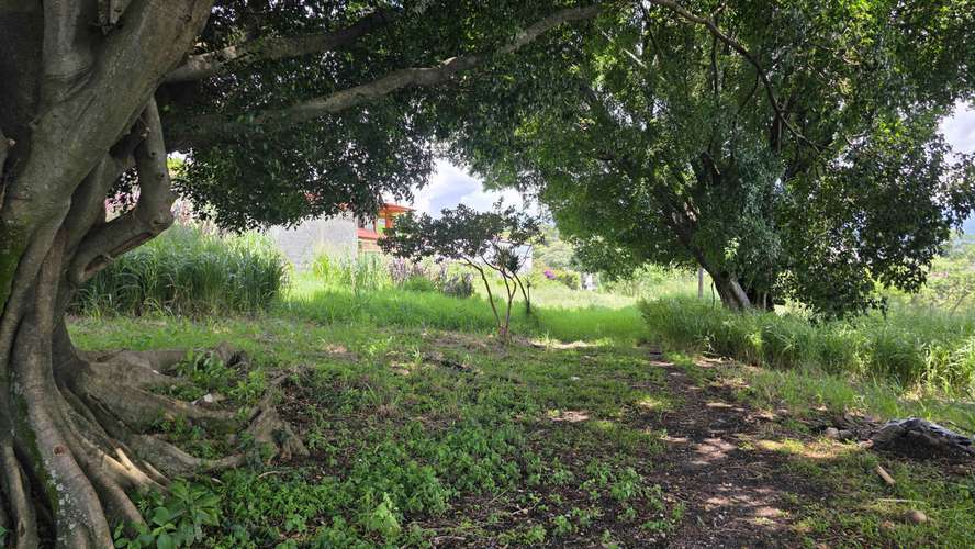 Terreno en venta para desarrollar en Pozos de Santa Ana.