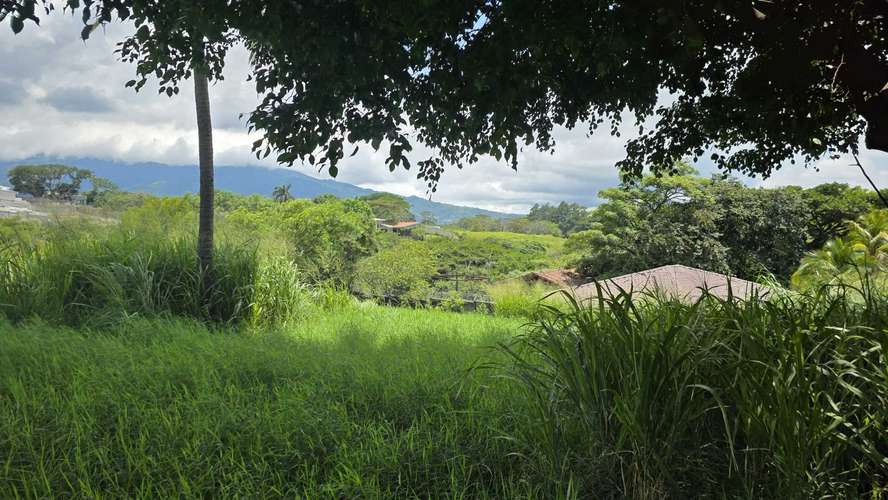 Terreno en venta para desarrollar en Pozos de Santa Ana.