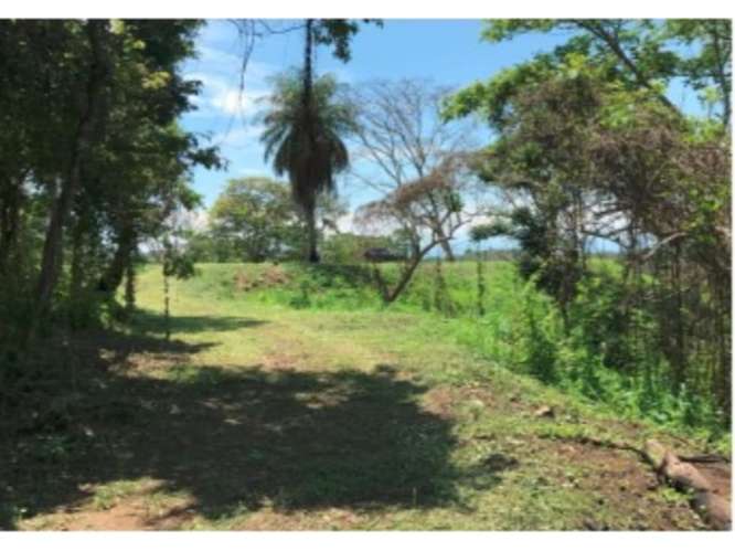 Terreno en venta con vista al mar en Paquera - Imagen 8