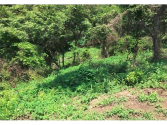 Terreno en venta con vista al mar en Paquera - Imagen 9
