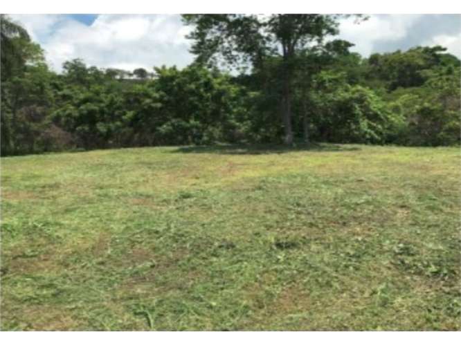 Terreno en venta con vista al mar en Paquera - Imagen 6